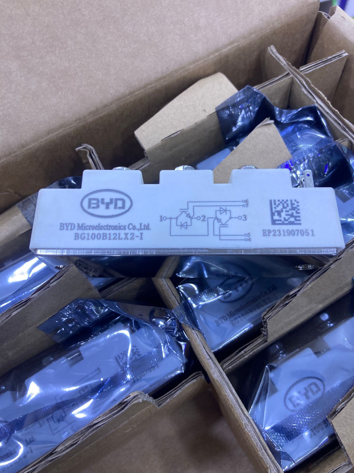 BYD BG100B12LX2-I